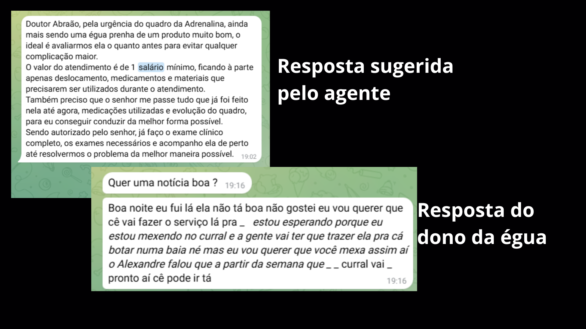 Print de conversa no WhatsApp: resposta sugerida pelo agente cobrando 1 salário mínimo pelo atendimento e a resposta do dono da égua confirmando o serviço